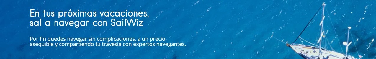 nueva pagina web saliwiz usabilidad