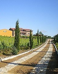  width=