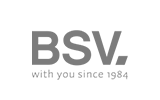 bsvlogo bsv logo