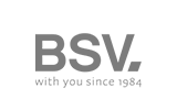 bsv logo