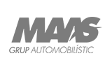 maas-2 maas-2