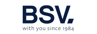 bsv electronic logo