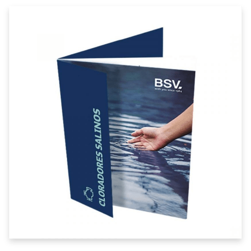 bsv-04
