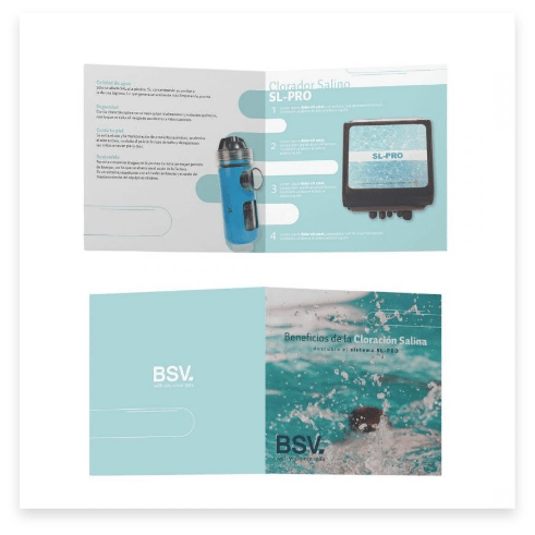 bsv-09