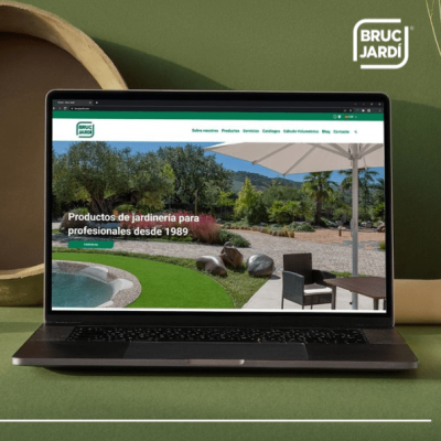 Diseño web ¿Desarrollo a medida o CMS (12) lifting group