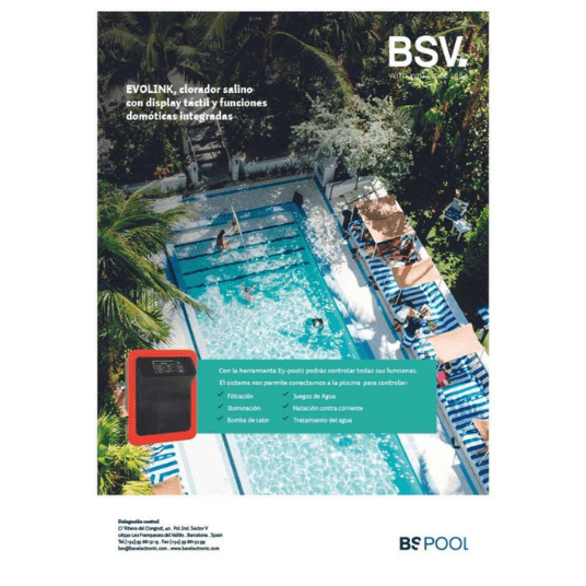 2 bsv electronic mockup 2