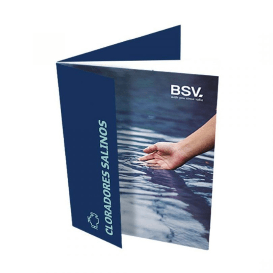 bsv electronic mockup 8